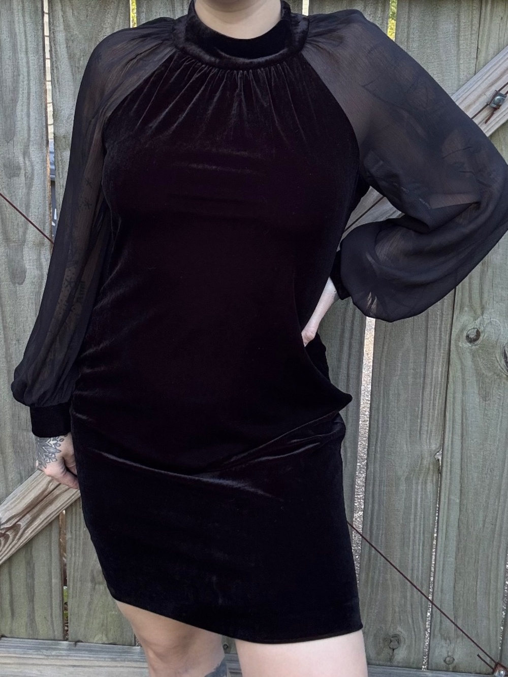 Calvin Klein Black Velvet Dress with Sheer Sleeves